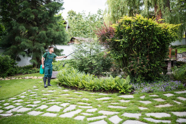 Best Pest Inspection Near Me  in Scenic Oaks, TX