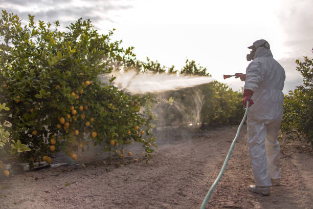 Best Best Pest Control Companies  in Scenic Oaks, TX