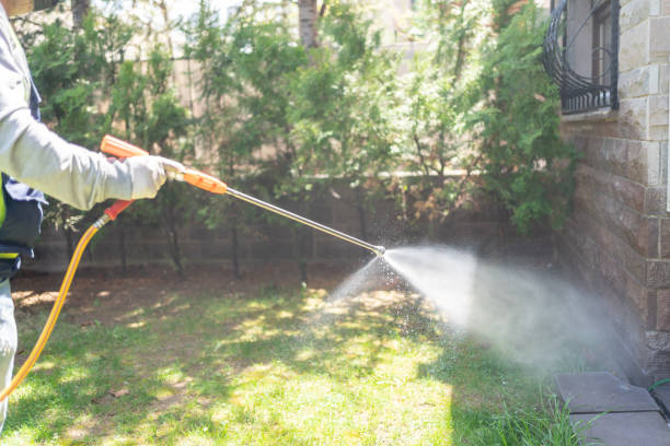 Best Bird Control  in Scenic Oaks, TX