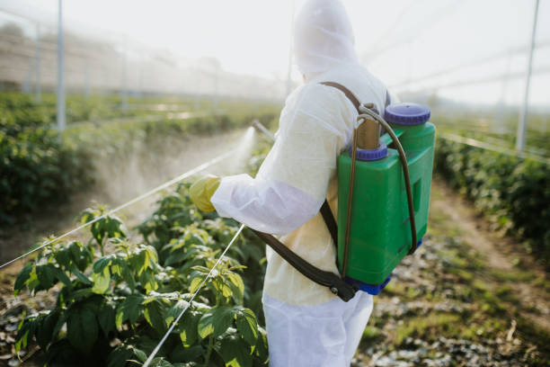 Best Mosquito Control Services  in Scenic Oaks, TX